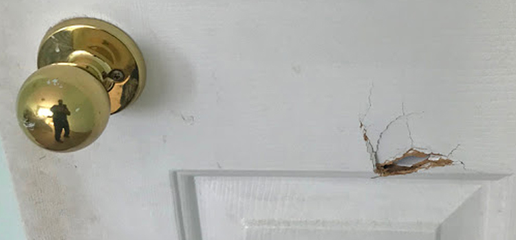 interior door hole repair Coto de Caza